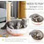 ARELLA Catnip Football Toy for Cats Catnip Refillable Scratcher Ball Kittys Faithful Playmate Reduce Obesity and Loneliness CSB06BR ARELLA Catnip Football Toy for Cats Catnip Refillable Scratcher Ball Kittys Faithful Playmate Reduce Obesity and Loneliness CSB06BR