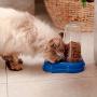 Ferplast Azimut 600 Cat and Dog Water and Food Dispenser, 12.5 x 19 x 19.5 cm, 0.6 Liter, Blue