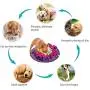 Farfly Snuffle Mat，Dog Snuffle Mat，Nosework for Dogs Large Small PetDog Puzzle Toys Interactive Feeding Mat Machine Washable