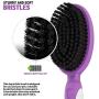 Soft Bristle Dog Brush for Short Haired Cats Or Dogs - Firm Bristles to Remove Dust, Dirt, and Loose Fur - Hook and Rubber Handle