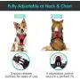 Eagloo Dog Harness No Pull, Walking Pet Harness with 2 Metal Rings and Handle Adjustable Reflective Breathable Oxford Soft Vest Easy Control Front Clip for Small Medium Large Dogs Eagloo Dog Harness No Pull, Walking Pet Harness with 2 Metal Rings and Handle Adjustable Reflective Breathable Oxford Soft Vest Easy Control Front Clip for Small Medium Large Dogs