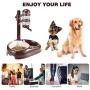 Pet Standing Water Dispenser Bowl- Multifunctional Automatic,Feeder for Dog and Cat Height Adjustable 450ml Water Bottle,Automatic Standing Water Dispenser, Detachable Pole Self-Feeder