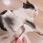 Patina Pet Hair Removal Comb Cat Dog Massage Trimmer Effective Removing Matted Fur, Knots and Tangles Grooming Tool for Short & Long Hair