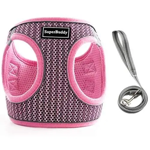 SuperBuddy Dog Harness 2020 Newest Style,Soft Mesh Breathable Vest Harness,Step-in Reflective Pet Harness with Leash Set for Small Medium Dogs -No Pull No Choke Comfort Fit… SuperBuddy Dog Harness 2020 Newest Style,Soft Mesh Breathable Vest Harness,Step-in Reflective Pet Harness with Leash Set for Small Medium Dogs -No Pull No Choke Comfort Fit…