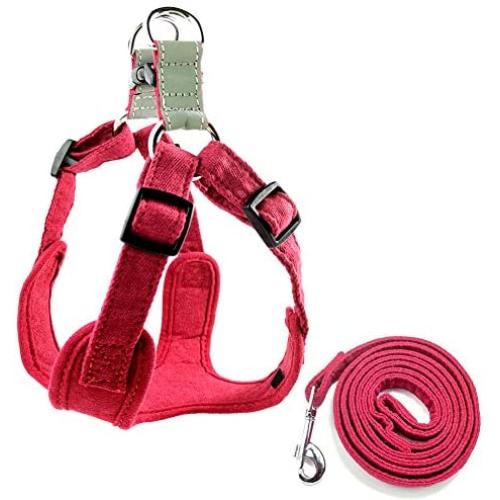 Tanyz Soft Dog Harness No-Pull Reflective Breathable Adjustable Pet Vest for Small and Medium Dogs Easy Control Harness