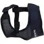 Dogs My Love Soft Mesh Walking Harness for Dogs and Puppies 6 Sizes Blue Dogs My Love Soft Mesh Walking Harness for Dogs and Puppies 6 Sizes Blue