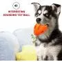 WLHOPE Squeaky Dog Chew Ball Dog Rubber Football Toy for Cast Throwed Training of Medium and Large Dogs Help Dogs Relieve Boredom and Regulate Emotions (Orange) WLHOPE Squeaky Dog Chew Ball Dog Rubber Football Toy for Cast Throwed Training of Medium and Large Dogs Help Dogs Relieve Boredom and Regulate Emotions (Orange)