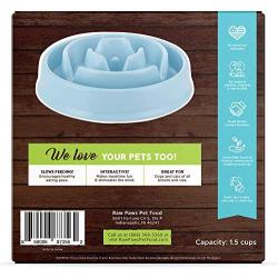 Raw Paws Slow Feeder Dog Bowl & Cat Slow Feeder Bowl - Maze Dog Bowl to Slow Down Eating - Dog Bowl for Fast Eaters - Dog Puzzle Bowl for Slower Eating - Slow Drink Water Bowl for Dogs