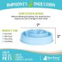 Raw Paws Slow Feeder Dog Bowl & Cat Slow Feeder Bowl - Maze Dog Bowl to Slow Down Eating - Dog Bowl for Fast Eaters - Dog Puzzle Bowl for Slower Eating - Slow Drink Water Bowl for Dogs