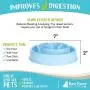 Raw Paws Slow Feeder Dog Bowl & Cat Slow Feeder Bowl - Maze Dog Bowl to Slow Down Eating - Dog Bowl for Fast Eaters - Dog Puzzle Bowl for Slower Eating - Slow Drink Water Bowl for Dogs