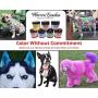 Warren London Critter Color - Temporary Pet Fur Coloring - Choose from 7 Colors - 4 Oz Jar - Made in USA