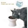 TAMAYKIM Ceramic Raised Cat Bowls, Food and Water Bowls Set for Cats, Porcelain Elevated Stress Free Feeding Pet Dish, Dishwasher and Microwave Safe, 2 Pack