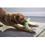 goDog, Dragons, Skinny, Squeaker Dog Toy, Chew Resistant, Durable Plush, Soft, Tough, Reinforced Seams, Green, Large