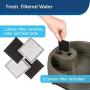 PetSafe Current Pet Fountain, Circulating Drinking Fountain for Cats and Dogs