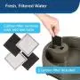 PetSafe Current Pet Fountain, Circulating Drinking Fountain for Cats and Dogs PetSafe Current Pet Fountain, Circulating Drinking Fountain for Cats and Dogs