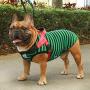 iChoue Dog Harness Easy On and Off Adjustable Harness Lightweight Harness with Handle for Small and Medium Dogs