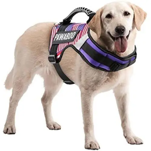 PAWABOO Service Dog Vest Harness, Premium Durable Heavy Duty Soft Padded Reflective Dog Vest Harness with 2 Removable Hook and Loop Patches, Strong PVC Handle on Top PAWABOO Service Dog Vest Harness, Premium Durable Heavy Duty Soft Padded Reflective Dog Vest Harness with 2 Removable Hook and Loop Patches, Strong PVC Handle on Top