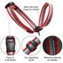 Kurgo Snout About Dog Head Halter | Headcollar for Dogs | No Pull Dog Training Collar | Dog Training Tool | Gentle Control while Walking | Reflective Trim | Coastal Blue & Raspberry Purple | 3 sizes