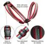 Kurgo Snout About Dog Head Halter | Headcollar for Dogs | No Pull Dog Training Collar | Dog Training Tool | Gentle Control while Walking | Reflective Trim | Coastal Blue & Raspberry Purple | 3 sizes