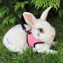 Pettom Bunny Rabbit Harness with Stretchy Leash Cute Adjustable Buckle Breathable Mesh Vest for Kitten Small Pets Walking