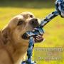 Dog Rope Toy for Aggressive Chewers - Medium to Large Breed Dogs | Extra-Large Tug of War Toy for Bonding with your Best Friend | 100% Cotton Chewing Rope - 36 Inches Long | Washable Blue| Bonus eBook