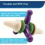 PetSafe Busy Buddy Jack Dog Toy, Chew Toy with Treats