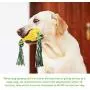 CHZHENG Corn Shape Molar Toys, Bite Resistant Dog Chew Toothbrush Pet Toothbrush Toy with Rope for Small/Medium/Large Dogs CHZHENG Corn Shape Molar Toys, Bite Resistant Dog Chew Toothbrush Pet Toothbrush Toy with Rope for Small/Medium/Large Dogs
