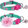 Blueberry Pet 3 Patterns The Power of All in One Breakaway Cat Collars, with Personalization Options