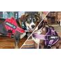 WOCUME No Pull Dog Harness Adjustable 3M Reflective Pet Vest Harness Dog Training Vest Breathable with Handle for Large Dogs Easy Control Harness