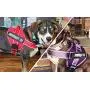 WOCUME No Pull Dog Harness Adjustable 3M Reflective Pet Vest Harness Dog Training Vest Breathable with Handle for Large Dogs Easy Control Harness WOCUME No Pull Dog Harness Adjustable 3M Reflective Pet Vest Harness Dog Training Vest Breathable with Handle for Large Dogs Easy Control Harness