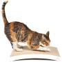 4CLAWS Curve Scratching Pad (White) - Basics Collection Cat Scratcher