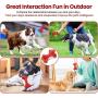Dog chew Toys Aggressive Sturdy and Durable Dog Toys, Made of Non-Toxic Natural Rubber, Puppies Teething, Suitable for Small Medium and Large Dogs to chew