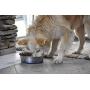 OurPets Premium DuraPet Dog Bowl