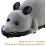 Forum Novelties Rat Toy, PeachFYE RC Funny Wireless Electronic Remote Control Mouse Rat Pet Toy for Cats Dogs Pets Kids Novelty Gift Forum Novelties Rat Toy, PeachFYE RC Funny Wireless Electronic Remote Control Mouse Rat Pet Toy for Cats Dogs Pets Kids Novelty Gift