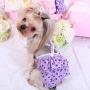 ZEEY Wave Point Colorful Cosy Female Dog Cotton Tighten Strap Physiological Pants Pet Underwear Diapers