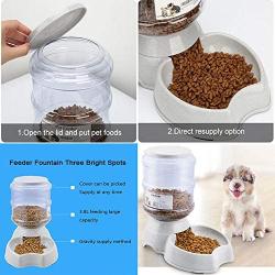 Blessed family Cat Water Fountain,Automatic Cat Feeder,Dog Water Dispenser,1 Gal Pet Automatic Feeder Waterer