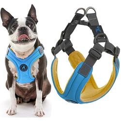 Gooby Dog Harness - Escape Free Memory Foam Step-in Small Dog Harness - Perfect on The Go Four-Point Adjustable - No Pull Harness for Small Dogs or Cat Harness