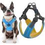 Gooby Dog Harness - Escape Free Memory Foam Step-in Small Dog Harness - Perfect on The Go Four-Point Adjustable - No Pull Harness for Small Dogs or Cat Harness