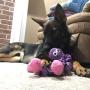 SmartPetLove Plush Toy