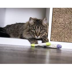 SmartyKat Catnip Cat Toys