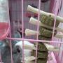 avbxcuecc Pet Chew Molar Sticks Sweet Bamboo Grass Cake Teeth Care Toys Improves Dental Supplies