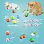 ZooZoo Cat Toy Variety Set 28PCS (Tunnel/Silvervine Matatabi Chew Stick/Mouse Tumbler/Ribbon Wand/Bell Collar/Jingle Ball/Catnip Plush/Foam Ball) Teaser Healthy Pet Stimulate Exercise Interactive Play ZooZoo Cat Toy Variety Set 28PCS (Tunnel/Silvervine Matatabi Chew Stick/Mouse Tumbler/Ribbon Wand/Bell Collar/Jingle Ball/Catnip Plush/Foam Ball) Teaser Healthy Pet Stimulate Exercise Interactive Play