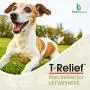 MediNatura T-Relief Pet Arthritis Pain with Arnica + 12 Active Pain Relievers - 90 Tablets MediNatura T-Relief Pet Arthritis Pain with Arnica + 12 Active Pain Relievers - 90 Tablets