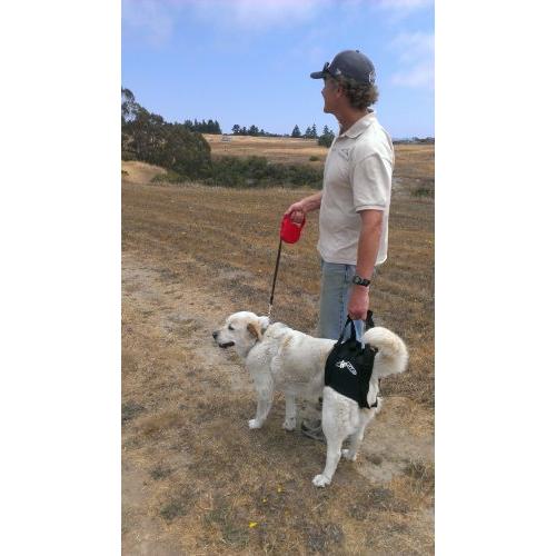 Dog Lift Support Harness:Airlift One Large Walkabout Support Sling