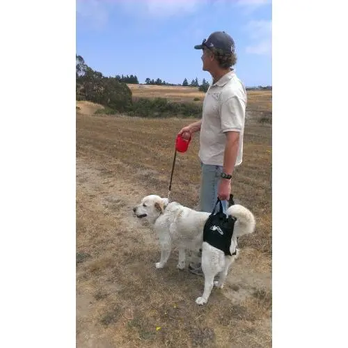 Dog Lift Support Harness:Airlift One Large Walkabout Support Sling