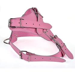 LXLP Pet Vest Harnesses，Silver Rivets Studded Genuine Leather Dog Harnesses for Large Dogs