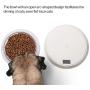 pidan Pet Bowl Digital Scale Bowl Dog Slow Feeder Diet Calculating Weight for Small Medium Dogs Cats