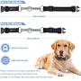 PuppyDoggy Hands Free Dog Leash for Large Medium Dogs Dual-Handle Bungee Reflective Stitching Leash with Waist Belt & Chain Martingale Dog Collar & Poop Bag Dispenser for Running Walking Hiking