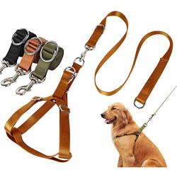 CHBORLESS Dog Leashes and Harness Set Durable Thickened Alloy Buckle Adjustable Dog Harness Polyester Dog Leash for Medium Large Dogs