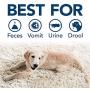 Simple Solution Extreme Pet Stain and Odor Remover | Enzymatic Cleaner with 3X Pro-Bacteria Cleaning Power